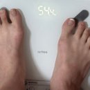 스위치온다이어트 프로그램 체중조절 단백질쉐이크 스위치온후기
