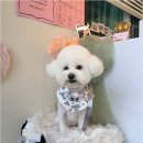 그루밍124