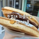 하이와플 | 부경대 와플맛집, 하이와플｜초코가 진한 찐덕한 행복! 내돈내산 후기