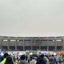 [서울 마라톤] 2025년 3월 2025 서울 동아 마라톤 10k 참가 후기 (우중 러닝)