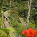 파드마투어 이미지