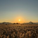 순천만 갈대숲 호스텔 | 순천만습지 갈대밭 11월 방문후기 ｜입장료, 국가정원 통합권 정보