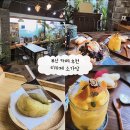 부산 사하구 당리역 차 맛집 &#39;티카페 소가담&#39; _ 홍시스무디, 수제대추차, 팥빙수, 감자빵 후기