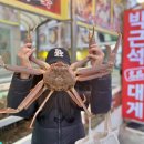 영덕09 | 영덕 현지인 맛집 추천 수율 높은 박근석 명품 대게