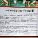 행주산성 완전정복(밤마실, 살구꽃피는 행주)