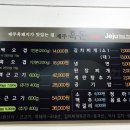 제주일번가 Daum카페