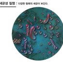 유성언니여성의원 이미지