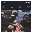 바이브코인노래연습장 이미지