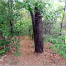 경북아파트 버스정류장 이미지