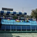 파주시청소년수련관 | 파주 임진각 평화누리공원 '동마기업평화랜드' 방문후기