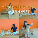 랜드파크투어 | 푸켓자유여행 아이와 가볼만한곳 라이언랜드 시티투어 예약 체험후기