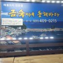 금숙이네동해바다