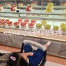 시즈니크 신세계백화점 대구점 대구 케이크 맛집 생과일케이크 멜론케이크 후기