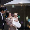 일비노로소 네이버블로그