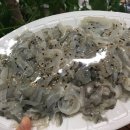 세종수산 이미지