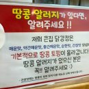 큰집닭강정군산 이미지