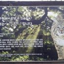 모르나 이미지