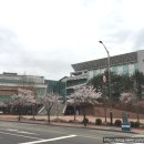 교하도서관앞 이미지