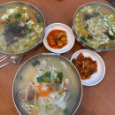 중화농협화북지점하나로마트 | [제주도]3월 제주도 2박 3일 여행 2일차(천지연폭포, 보롬왓, 성산항, 우도, 섭지코지, 빨간집)