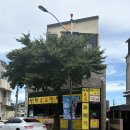 명품꽈베기 | 2박3일 여행 코스 : DAY3 : 쏠비치삼척포토존/부일막국수/삼척명품찹쌀꽈배기/특산품매장(동해안오징어)