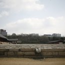 하늘종묘 이미지