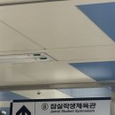 (241214) 24-25 KBL프로농구 5번째직관 치열했던 1,2위전 서울SK나이츠 VS 울산현대모비스피버스 (서울...