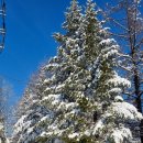 나실목장 이미지