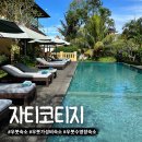 자티 | 발리｜우붓 시내근처 수영장이 멋진 가성비 숙소후기 자티코티지