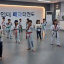 용인대 매교태권도장 이미지