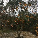 유리민박 이미지