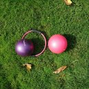 소도구를 이용한 기초 필라테스 이미지