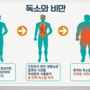뷰티다이어트