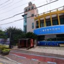 월호동 주민자치센터 티스토리