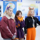 용인실내체육관 이미지