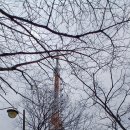 남강둔치(망경동~주약동) | 경남 진주 망진산-달집 태우기