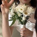 UR(파주시)-[동패로]-하-11 | 24.09 본식 후기라고 쓰고 가격 공개라고 읽는다. /일산 더테라스 웨딩, 하인즈뷰티, 망고스틴스냅...