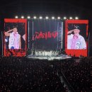 진짜사나이길 | 호시우지 팬콘 Warning 광주 찐막콘 후기(250824) - 3층 무대정면, 조각영상, 구구절절 대충 호랑이...