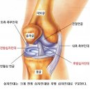 ﻿떨어질 수 없는 실과 바늘? NBA와 십자인대 부상 이미지