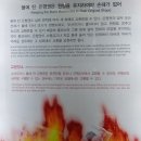 돈벼락 이미지