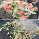 문인로54번길 | 나오리장작구이 동천점 산더미차돌구이 후기