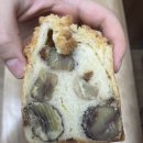 창원 가로수길빵맛집추천 창원 용호동 밤식빵맛집 창원 브레드웜 2024.05.23
