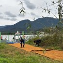 계림농장 | 야자매트,메시휀스 납품 후기입니다.