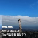 화산공원 | 하와이여행 빅아일랜드 화산국립공원 일일투어 후기