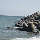 겨울바다 이미지