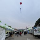 홍성구항한우 | 홍성 글로벌바베큐페스티발 구항농협 한우 구매 후기