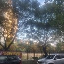 덕이네 집밥 이미지