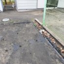 강원주유소세차장 이미지