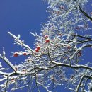 오성한옥마을 | 완주 오성한옥마을 후기; 완주 드라이브·완주 카페·완주 데이트코스 추천