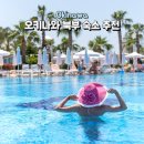 오키나와 북부 숙소 추천 7곳 직접 비교 호텔 수영장 대욕장 조식 총정리.zip