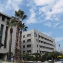 제주 와싱톤 이미지